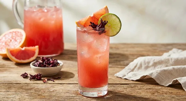 Hibiscus Paloma